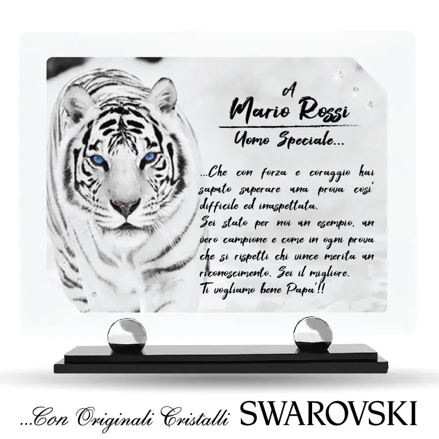 Tigre 01