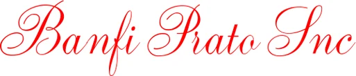 Il carattere Ambassador Script